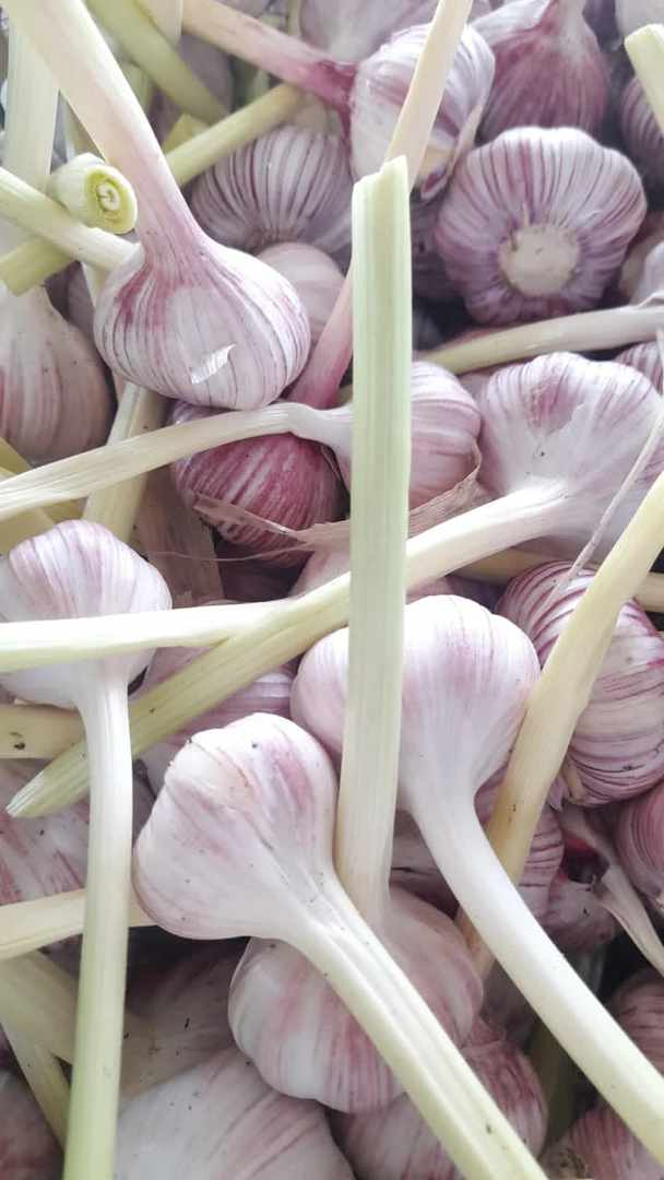 4f7c9f3c-3893-446d-83db-7a40c854ac3f