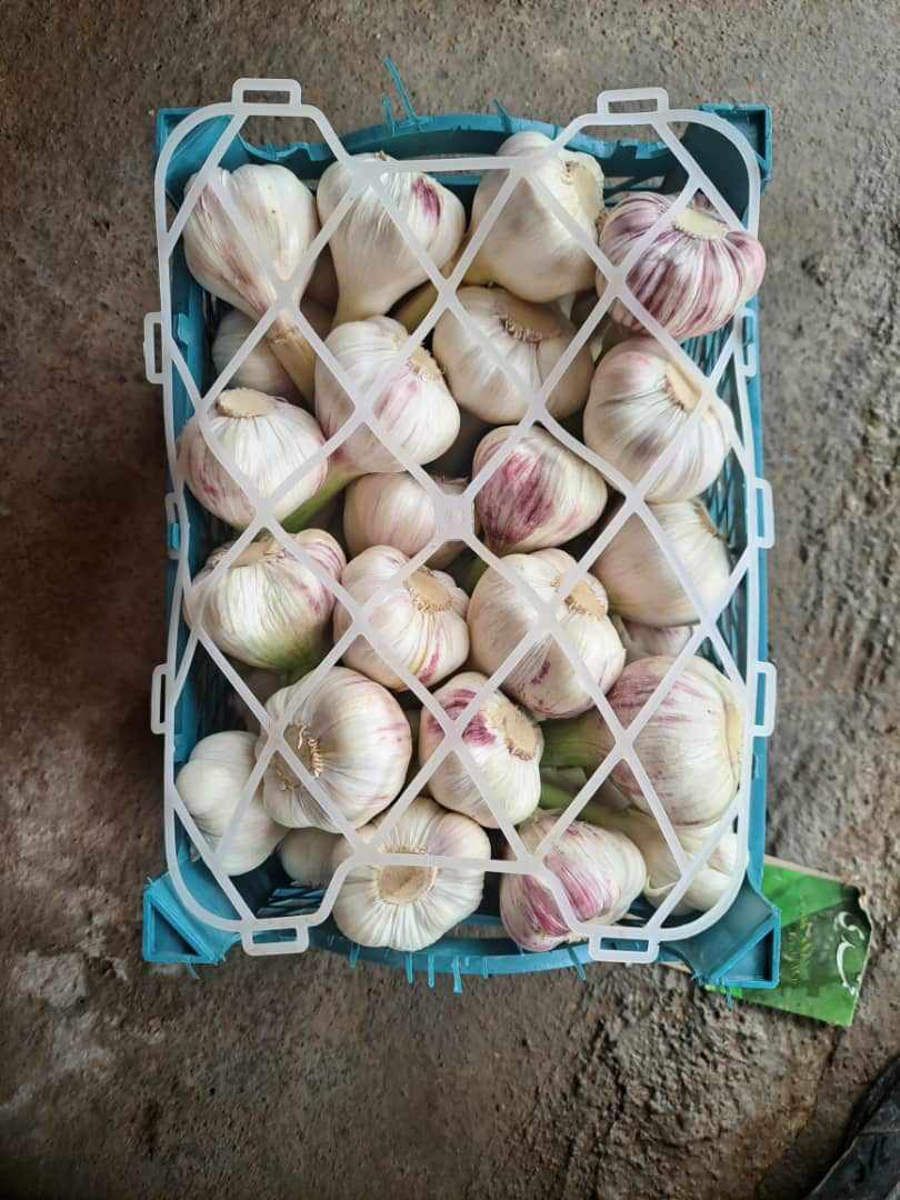 8eeefdd1-c68f-4522-9023-39e4aa300663