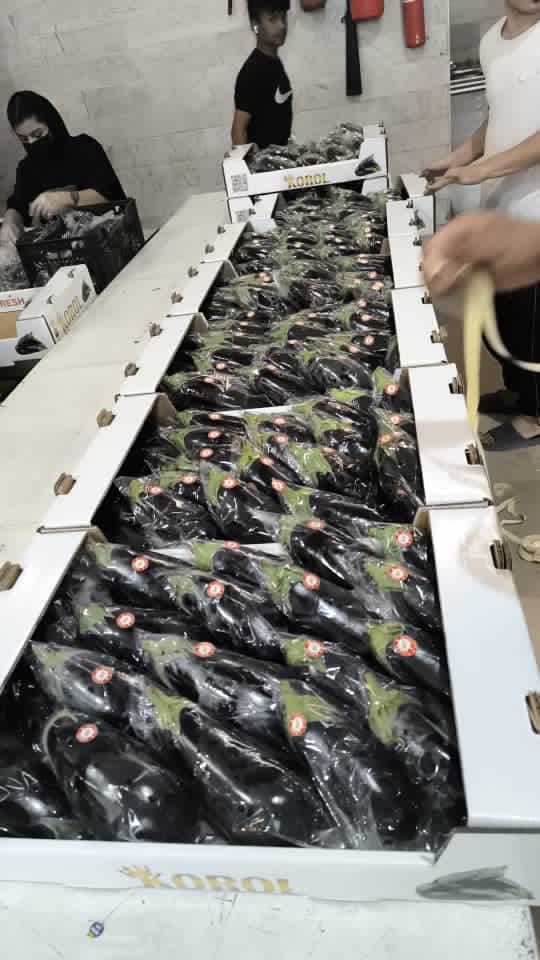 9dacc2c9-53eb-44d8-bf4a-f96a33c26cfe