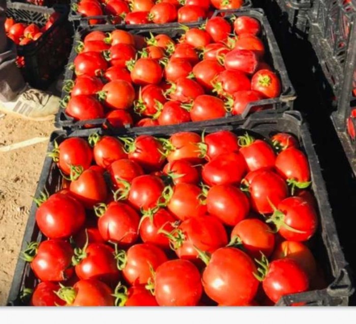 fZzPjXPnN6KBCIPN3DYK0YQpe64vrTB519DnjVtc